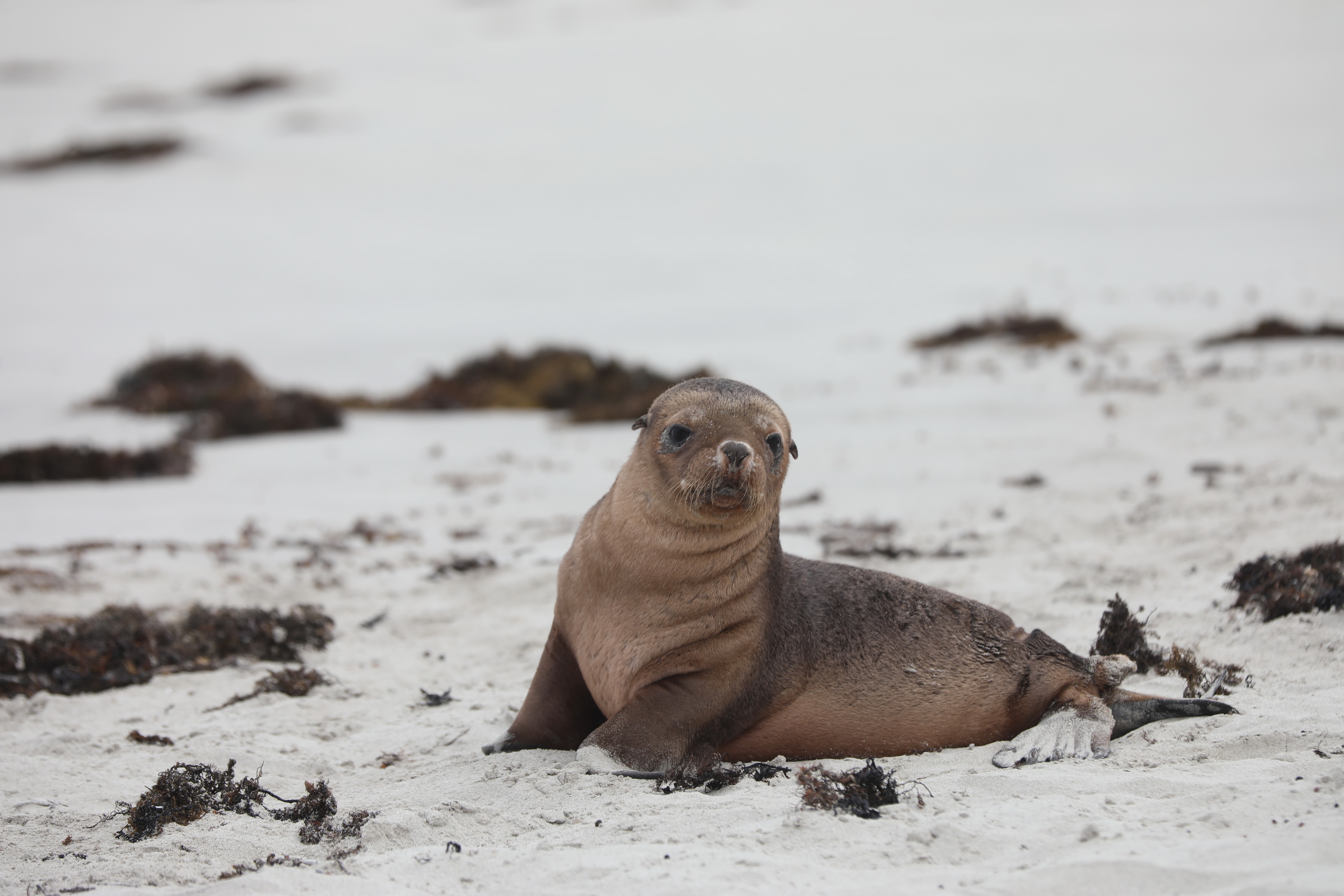 2019 09 29 12 47 32 Canon EOS 5D Mark IV 0027